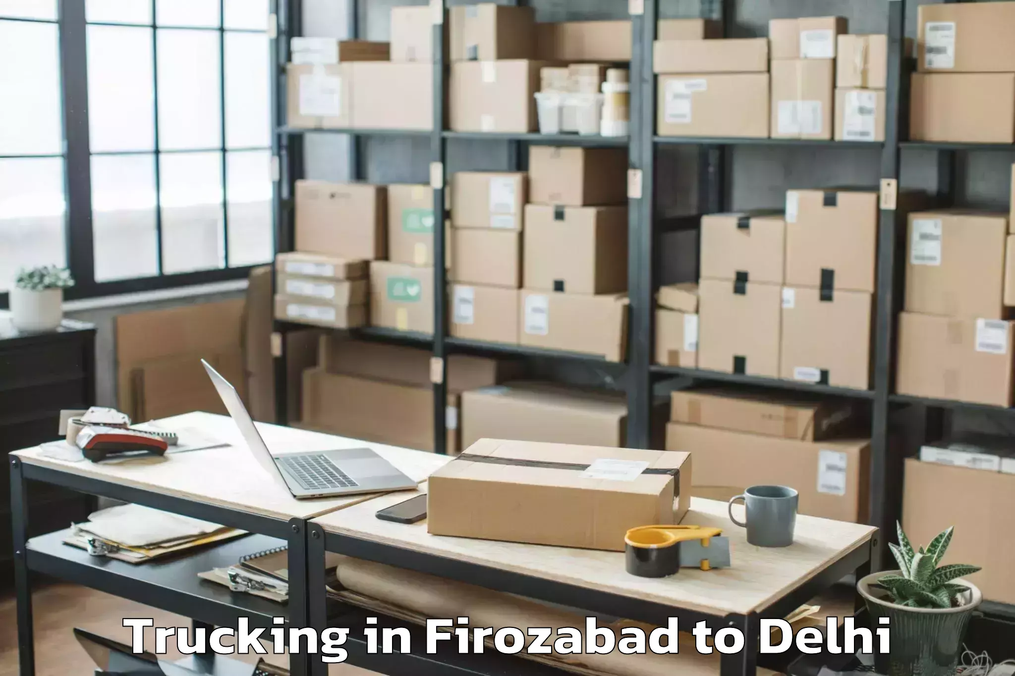 Book Your Firozabad to Patel Nagar Trucking Today